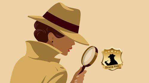 TOP 10 Văn phòng thám tử uy tín TOP 10 Văn phòng thám tử uy tín