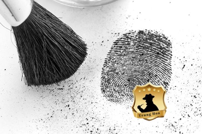 Giám định vân tay